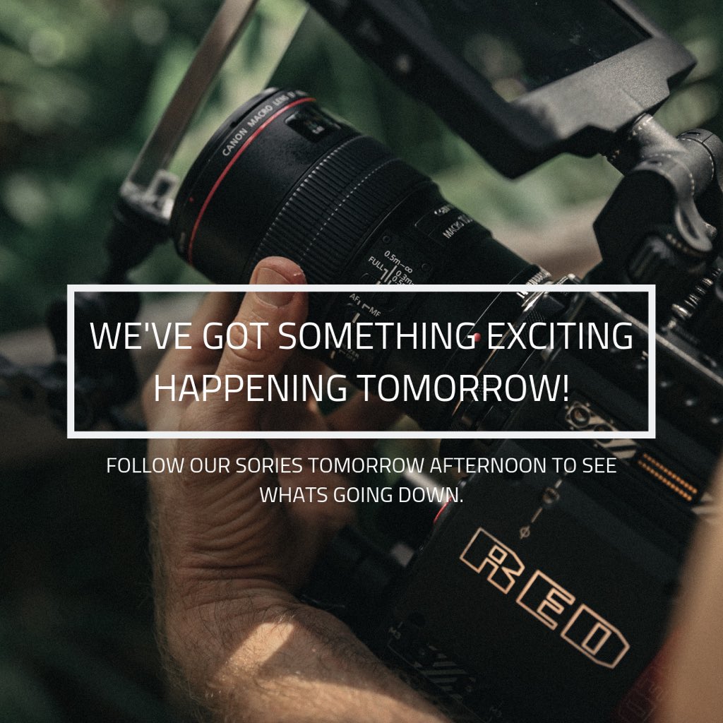 mergotrading tweet media