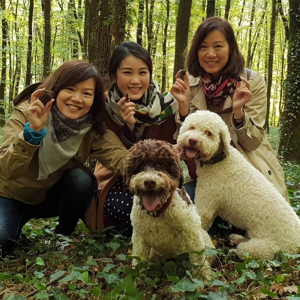 Let's go truffle hunting! In Zagreb! Yes, you've read it correctly - you can go truffle hunting in Croatian capital! 😍And afterwards you get to have a taste of truffles and maybe take one home ;) 
Book now ➡️ bit.ly/2GILzwp