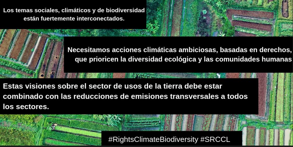 henoi_py's tweet image. 2/2...que ya tenemos las herramientas que necesitamos para el cambio? Lea en nuestros estudios de caso nuevos como bit.ly/333tZge 
#SRCCL #LandReport #MissingPathways #RightsClimateBiodiversity
#NatureBasedSolutions #CommunityConservation