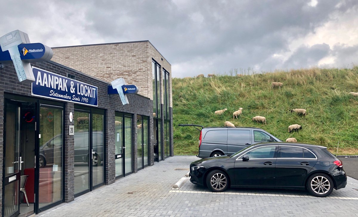 Schapen voor onze Sleutelwinkel in Rotterdam Nesselande.