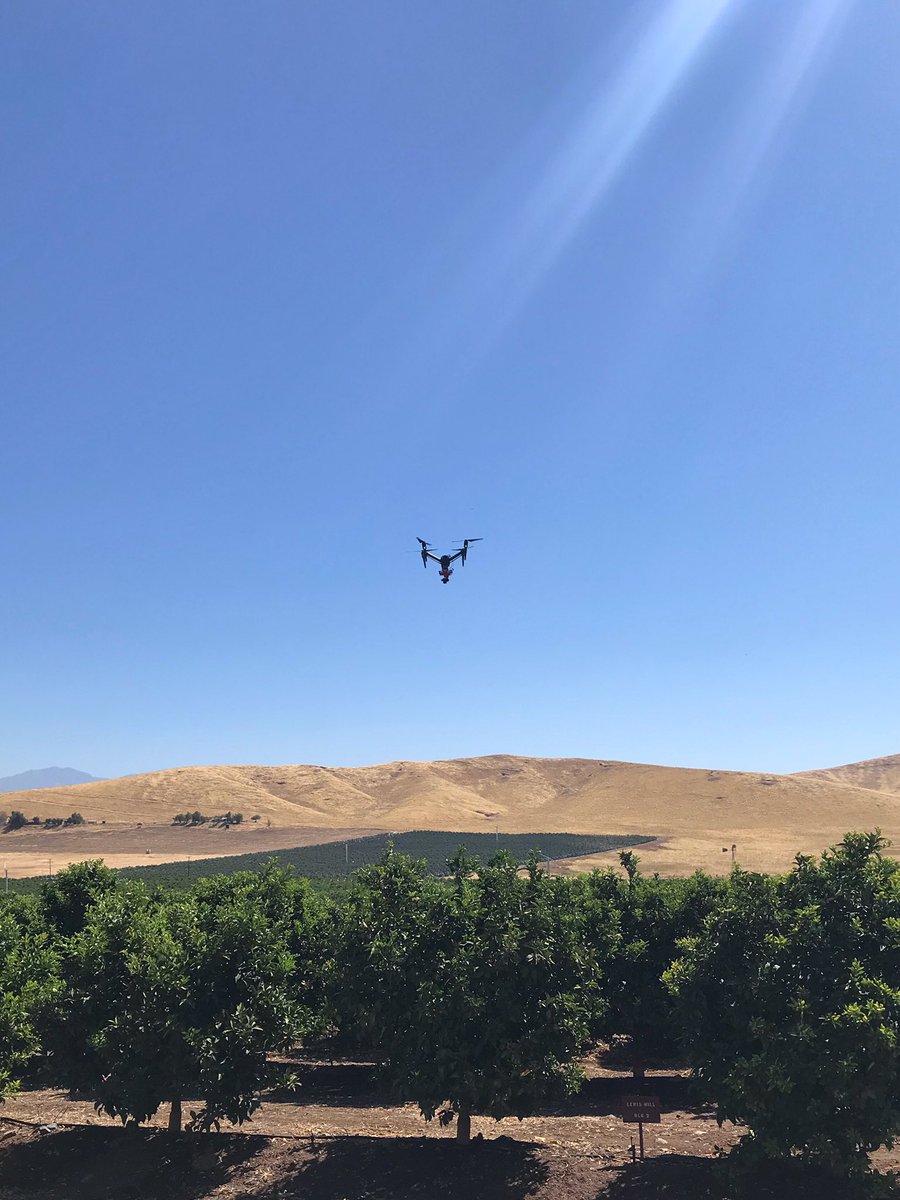 _DroneSolutions's tweet image. Flying against our foothills is always a bonus. #drones #agdrones #agdata #precisionag #dronesaregood #tulare #farming #myjobdependsonag