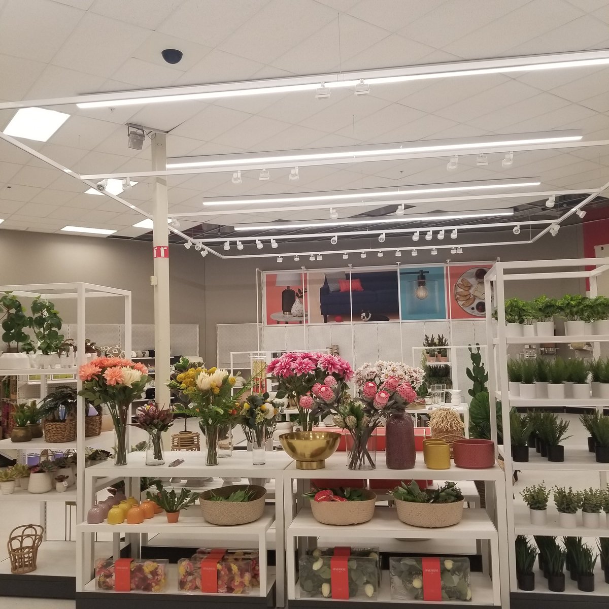JudithT2468's tweet photo. I am in 💕 with the changes #T2468Remodel team has been making.  Look how Chic and mesmerizing this is. Can't wait for it to be completed. #transformation #teamwork https://t.co/LBJ1fnitLZ