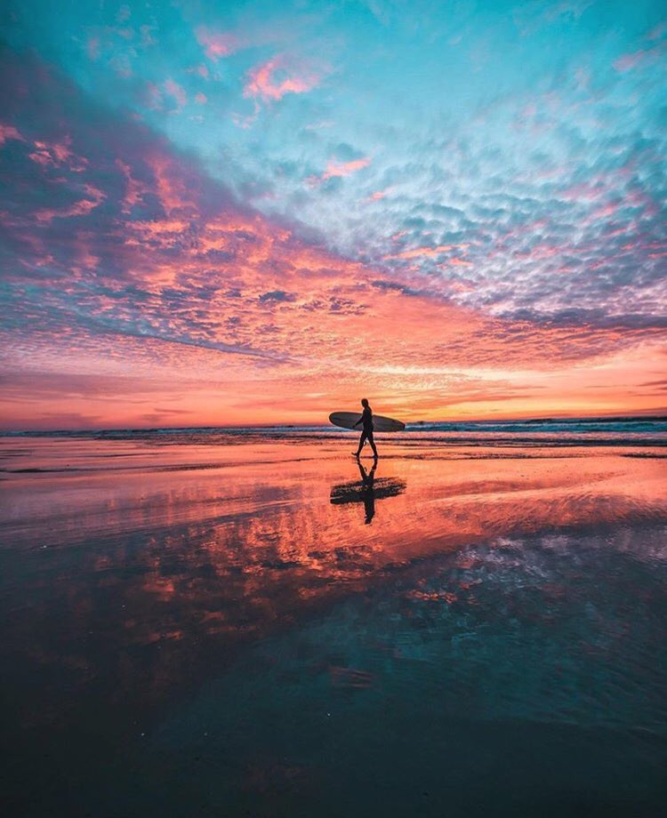 Wild Earth tweet media