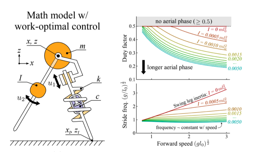 modern phylogenetic comparative methods and their