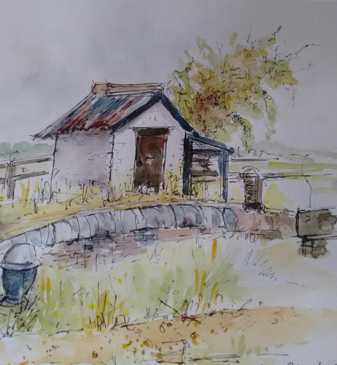 Canal walk between Rothersthorpe and Gayton in Northamptonshire.#drawingaugust 'plein air' sketching.