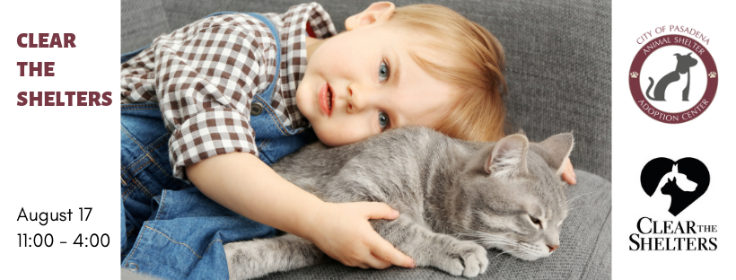 PetsPasadenaTX's tweet photo. We hope you'll join us for #ClearTheShelters on August 17! No fee to adopt any cat or dog, plus fun family activities from 11:00AM - 4:00PM https://t.co/RaQoz6AFZv