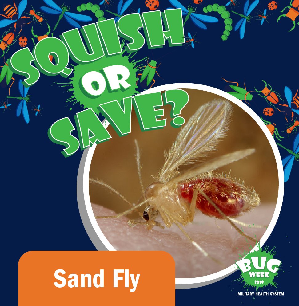 TRICARE's tweet photo. Squish or Save?
Leave your guess in the comments below.
Remember to check back each day to learn more about each bug.
#BugWeek2019 https://t.co/l9Mn9SIuvu