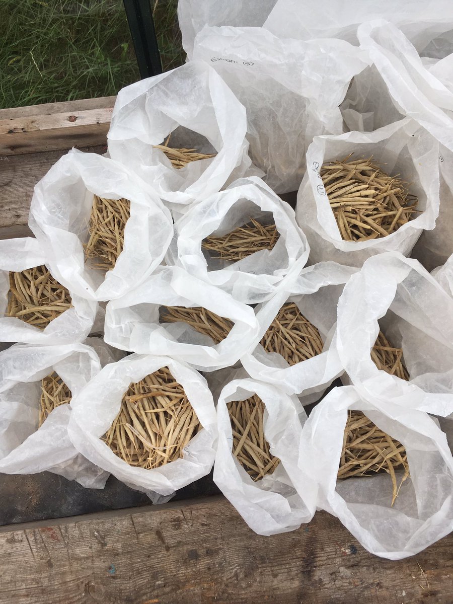 Joyce Bennett tweet media