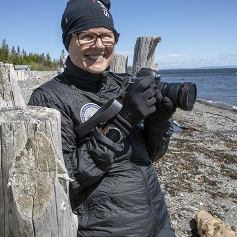 shextreme tweet media