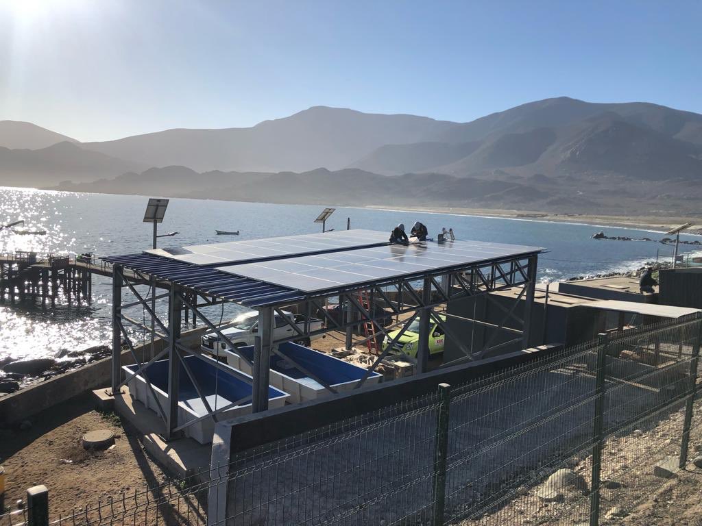 Subpesca 🐟🇨🇱 tweet media