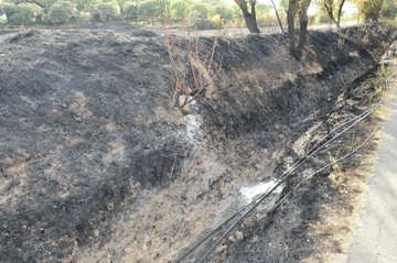 Ver imagen en Twitter