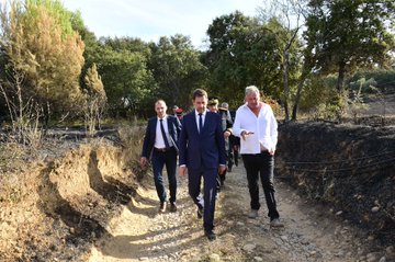 Ver imagen en Twitter