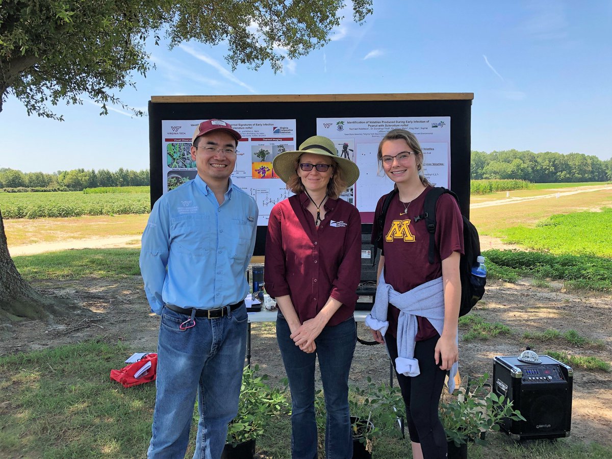 XingWei19's tweet photo. Rachael Walcheck, a sophomore @IowaStateU, one of the 2019 VT-REEL fellows @SecuringOurFood, have worked with Dr. Tholl, Sophie @VT_Biology, Dr. Mehl, and I @vtspes @VCE_news, on identifying volatile compounds from peanut infected with Sclerotium rolfsii, for the past 10 weeks. https://t.co/jdk3vv5OCA