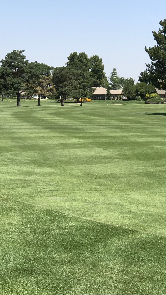 traviserose11's tweet image. Its not everyday a 18 hole course has to maintain 140 acres of turf with 4.5 full time guys. Ken Wheeler and his crew at Purple Sage GC knocked it out of the park. Proud of you                                            #simplotpartners #simplotspecialty #purplesagegc #idahome
