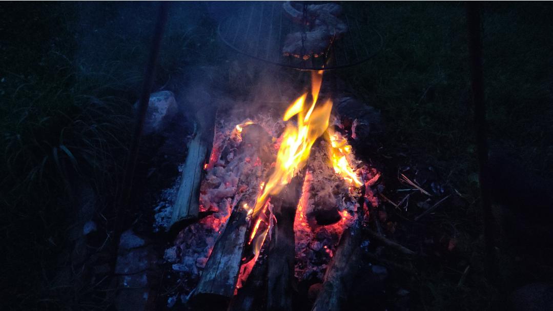 FFBSee's tweet photo. Statusupdate Grillen: Lecker
#TechnikCamp https://t.co/vmpEa3ybAH