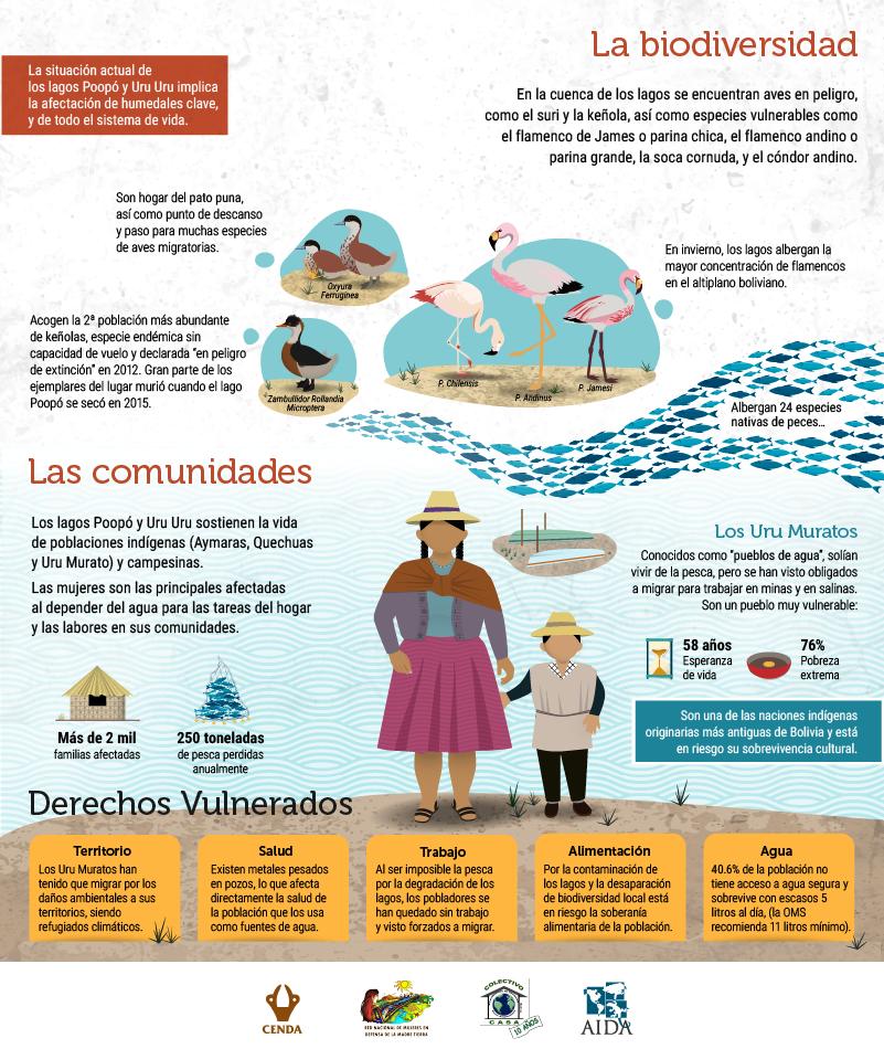 aida_ambiente's tweet photo. ALERTA | Los Uru Muratos son una de las naciones indígenas originarias más antiguas de Bolivia y su sobrevivencia cultural está en riesgo. https://t.co/OY5Y5b8JSE  | Infografía completa aquí 👉🏽 https://t.co/dl2gujSzBs #SOSLagoPoopo
@MongabayLatam https://t.co/UZMsR8xj5r