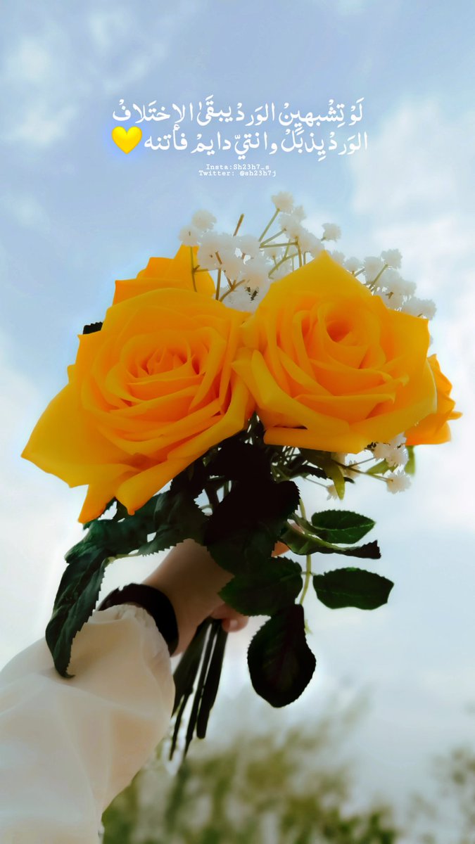 مجموعة صور لل تويتر كلام عن الورد الاصفر