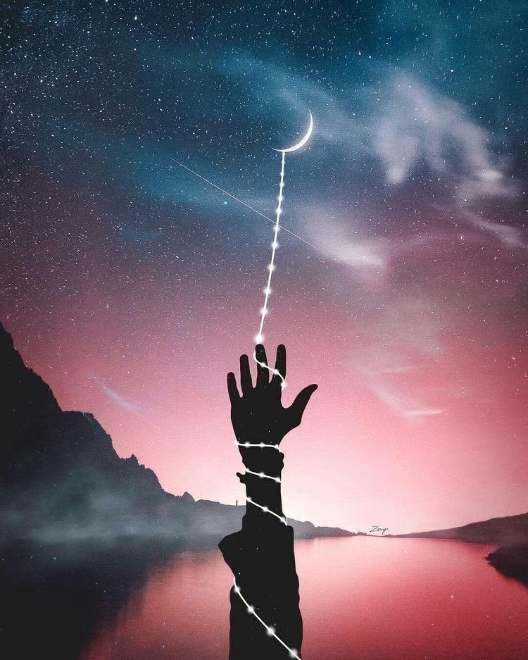 vivemalecture's tweet image. 