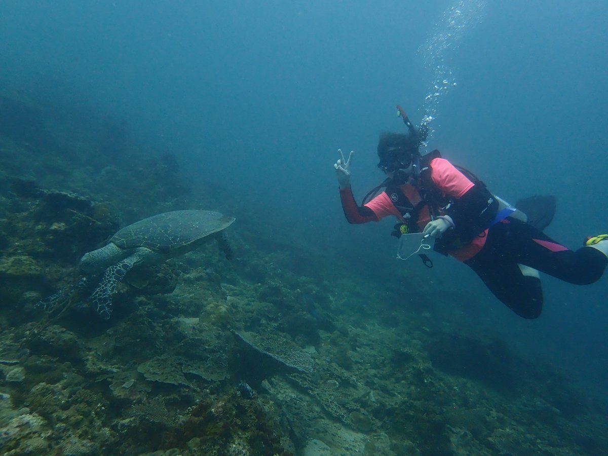QSeniorTrips's tweet photo. More diving adventures on our last day on Mamutik Island #BorneoDivers #amazingsealife @TheQueensSchool @CampBorneo https://t.co/Rcc9dAIxud