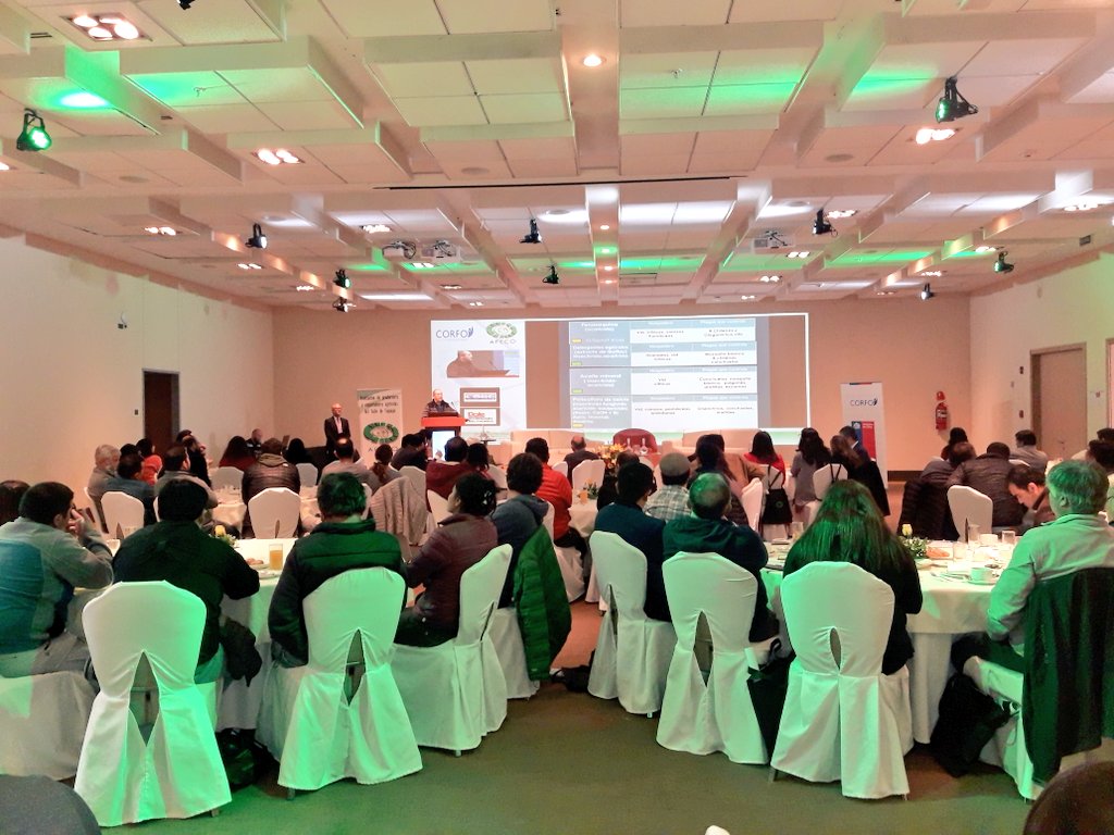 Minagri Atacama tweet media