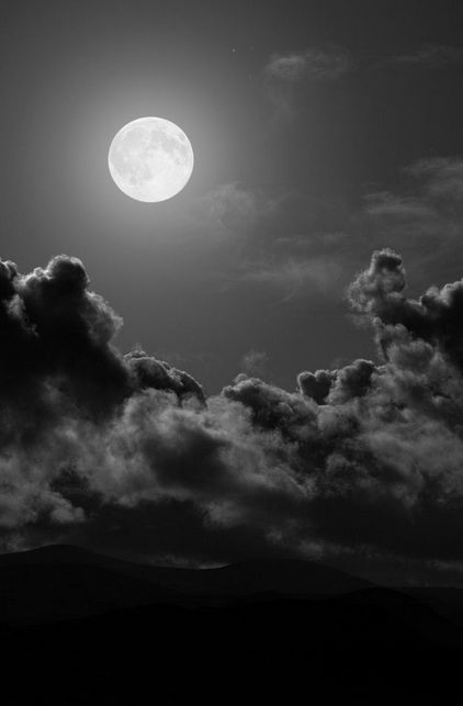 MInfitar's tweet image. 