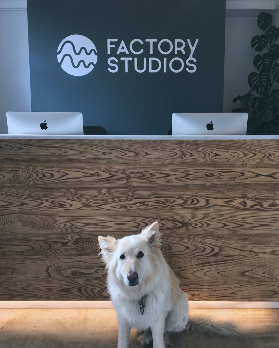 The real boss hard at work...