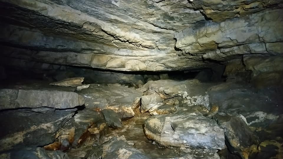 An excellent visit to Scoska Cave last week teaching the <a href="/BritishEcolSoc/">British Ecological Society</a> summer school students about the ecology, geology and history of caves as well as how the flora and fauna both inside and outside the cave adapt to these niche conditions and thus why caves are important