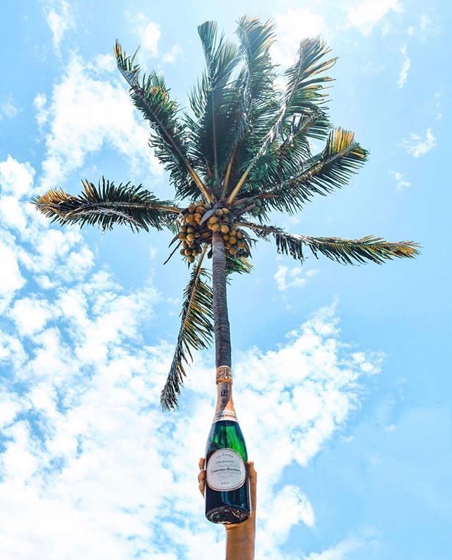Sun, Fun &amp; Champagne 🍾🌴 ift.tt/2YxUUgL