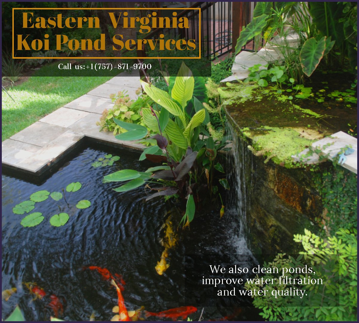 JackRob82187706's tweet photo. We also clean ponds, improve water filtration and water quality.We also update ponds. Update filtration and make pond maintenance easier.
Call us +1(757)-871-9700
Email:jackrob36@gmail.com
#pond #koipond #ponddesign #pondimprovement #gardenadventure #landscapedesign #filtrations https://t.co/9nuWgZ08cb