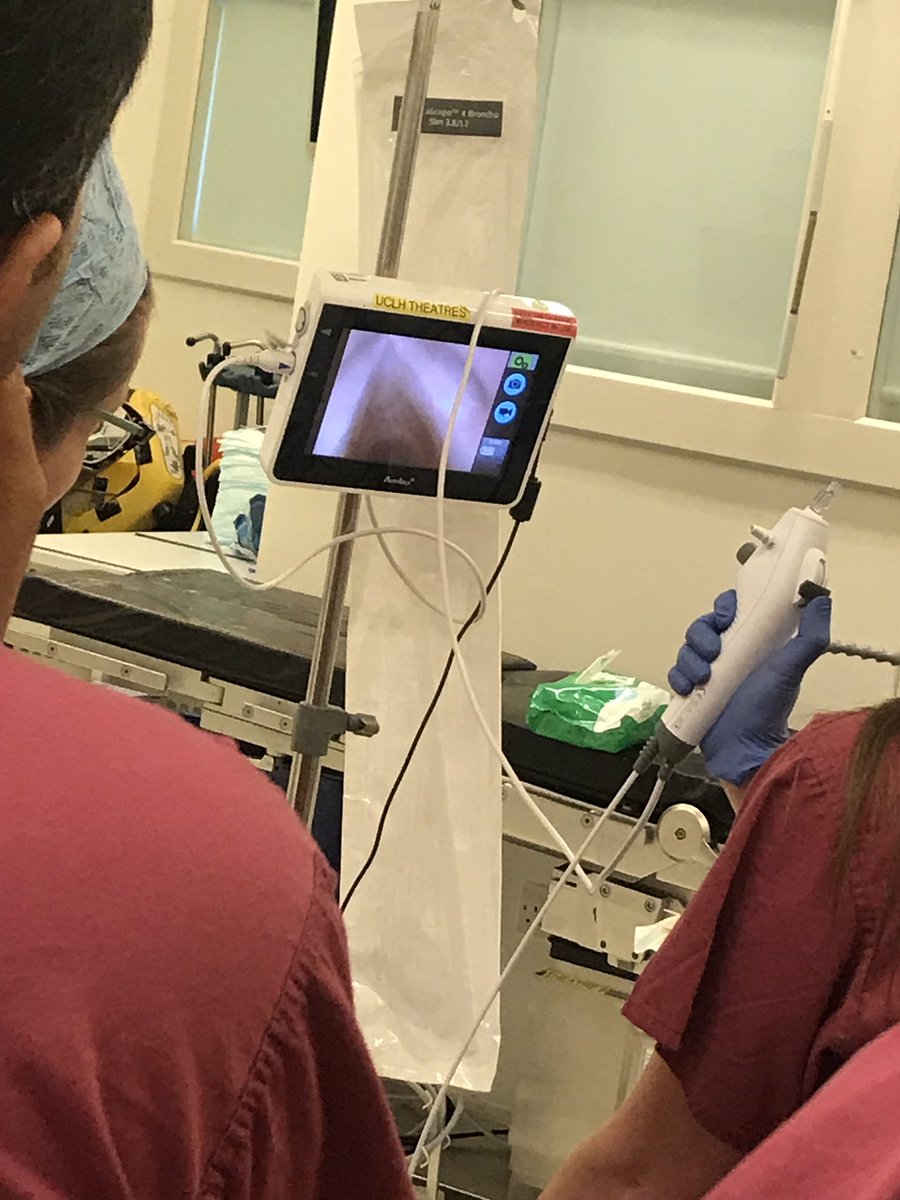 janinekelly526's tweet image. Want to know what awake intubation feels like for your patients, and learn invaluable scoping techniques? Pop along to the next UCLH awake intubation course! ucl.ac.uk/anaesthesia/ed… #awakescoping #knowyourtools @Ambu_UK