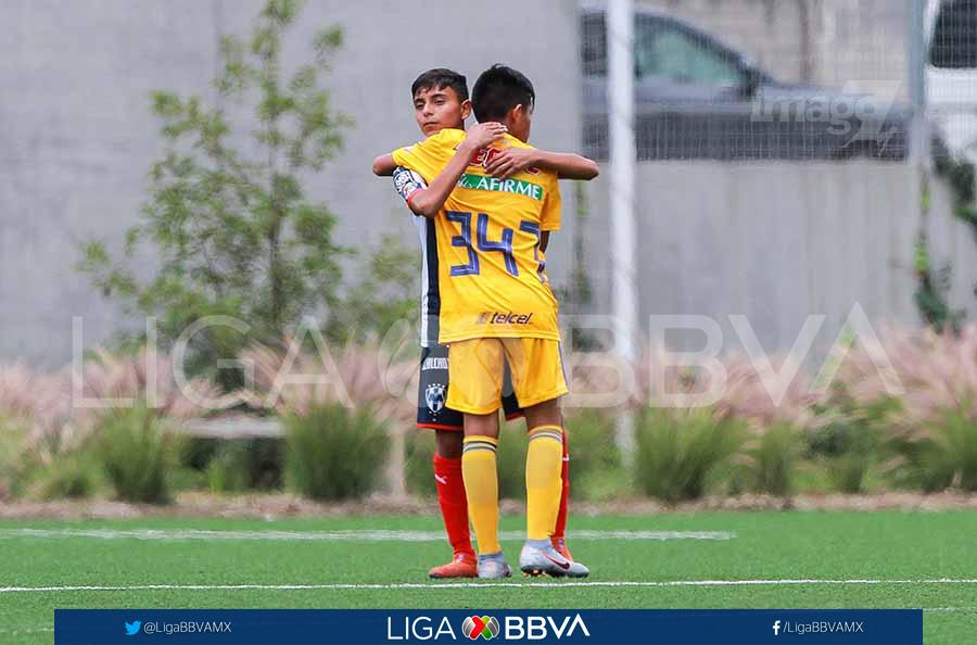 ClubTigresFB's tweet photo. #Sub13MX Hoy en punto de las 12:00 hrs, @TigresOficial enfrentará al @Tuzos en Cuartos, luego de dejar fuera a @Rayados en Octavos de Final.
¡Vamos Tigres! https://t.co/CG6nHP0DD2
