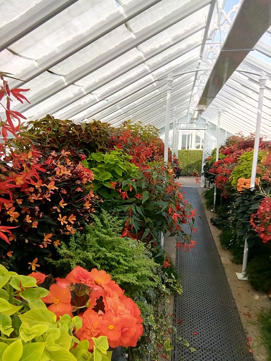 glawpreseli's tweet photo. @westdeangardens today https://t.co/yQrdH4PwGP