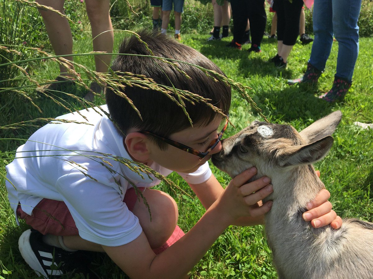 FarmKings's tweet image. NOW BOOKING: Field trips during Fall Festival weeks in October! These tours are $10/person and include a hayride, interaction with our plants and animals, and a small pie pumpkin for each guest! Please email events@freedomfarmspa.com for more information and available dates.