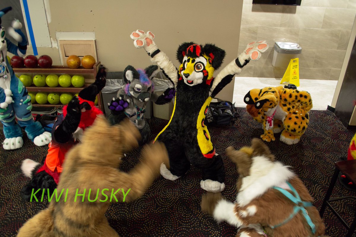 StarBurstSaber's tweet photo. I AM YOUR SAVIOR!!! ALL HAIL THE CAT!!! #SteppingUpInTheWorld #Fursuit #SecondCommingOfCat
@MidwestFurBowl @kiwi_husky @LupeSuits https://t.co/JcmU27I7gk