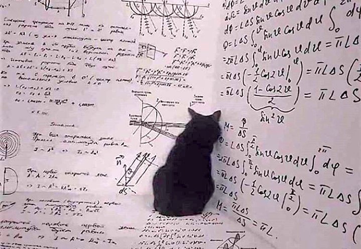 O que é o Gato de Schrödinger?