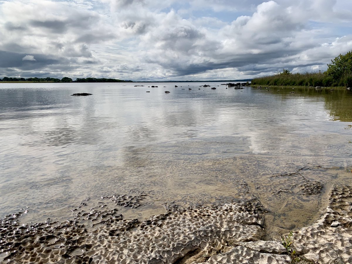 UniOfGalwaySU's tweet photo. Lough Corrib looking totally tropical #Corribean 🌴 ☀️ #Galway https://t.co/TLUU1kKvg5
