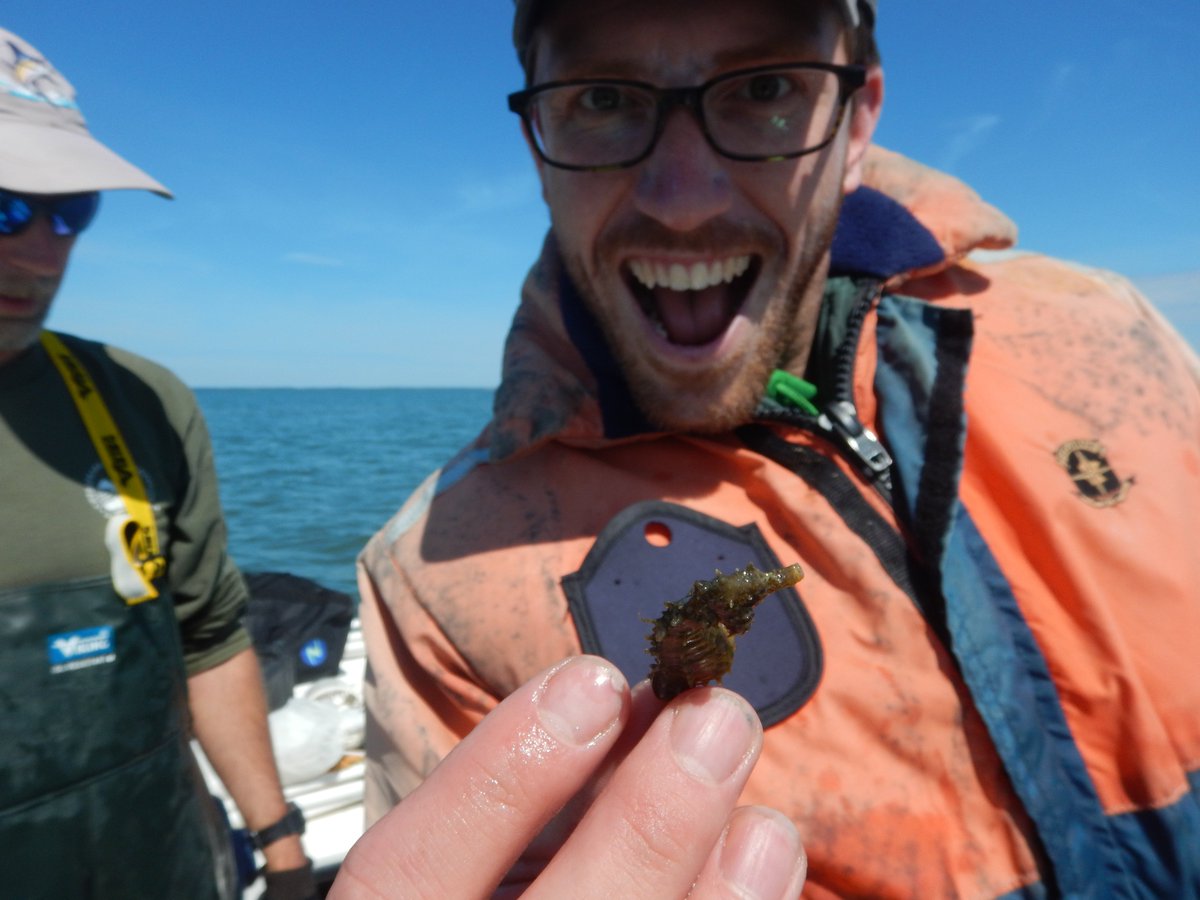 LabSav's tweet image. After 7 years and 2 degrees, our very own Dr. @AJJohnson1607 is heading to @vanderbiltlaw! We&apos;re sad to see him go, but can&apos;t wait to see what he&apos;ll do next. We know his future is bright! #seagrass @VIMS_News