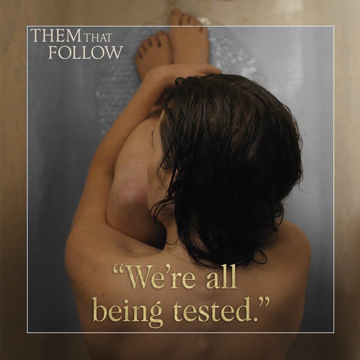 ThemThatFollow tweet media