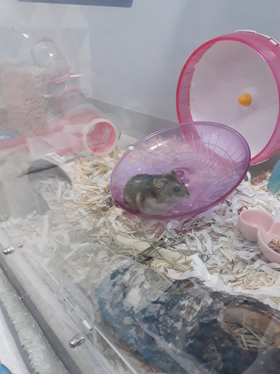 그리고 왠지 점점 커지고있는 구월쓰..