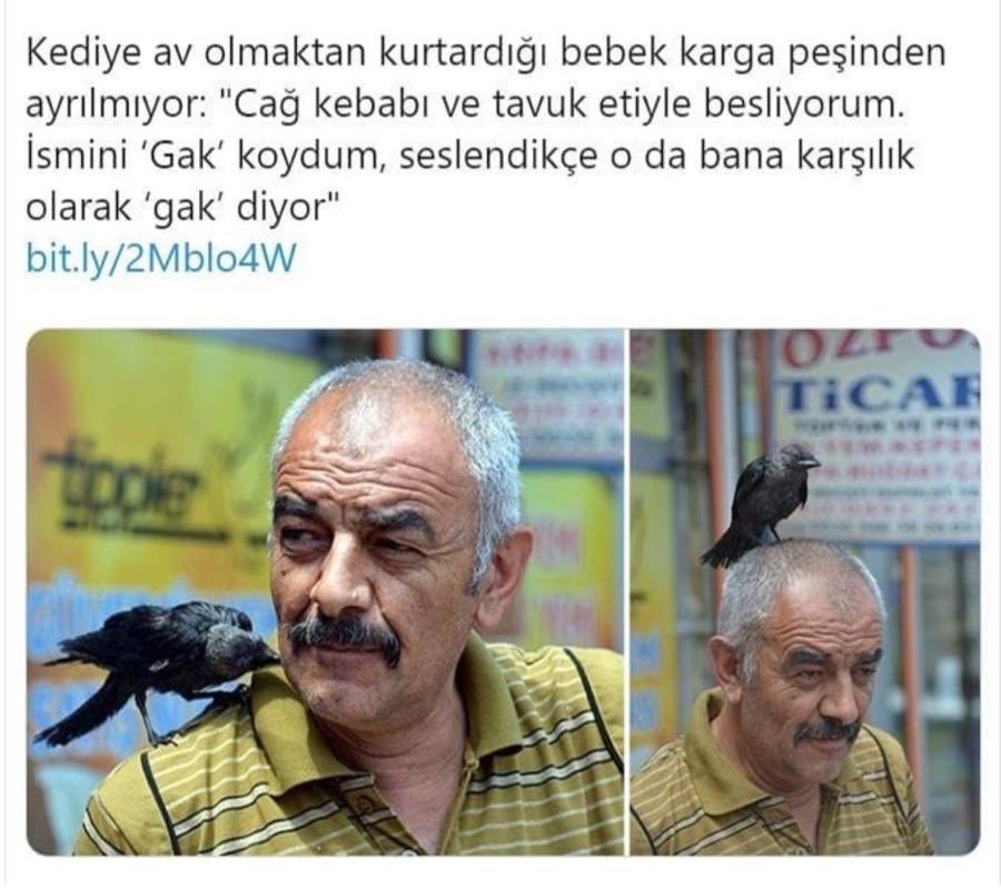 Birine onu sevdiğinizi göstermenin en güzel yolu, ona cağ kebabı ısmarlamak.