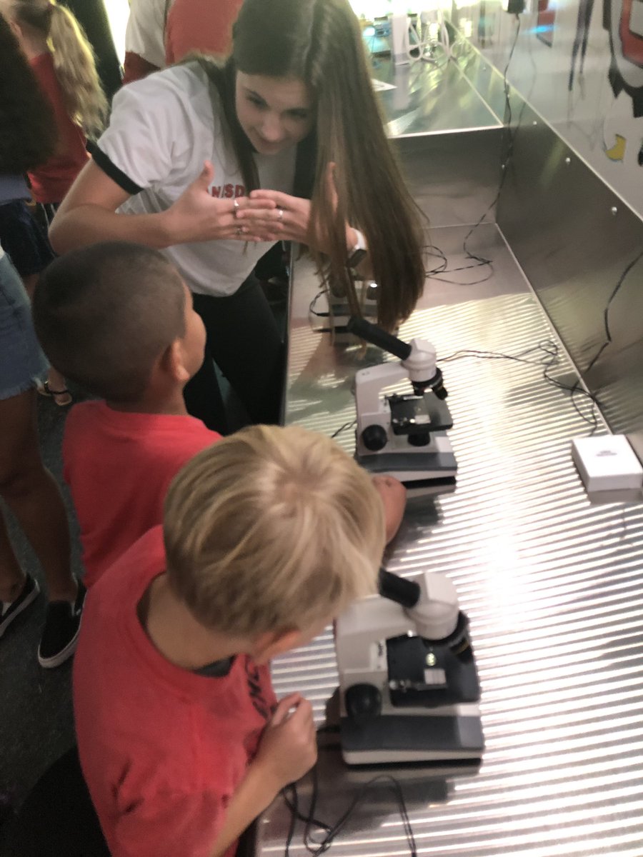 3) Probably the favorite activity of the day on the <a href="/VanISDVanTX/">VanISDVanTX</a> STEAM Bus: students got to look at owl scat for a lesson about food webs! 🦉 #STEAM #STEM #SCIENCE #NATURE #STEAMBus #VISD <a href="/thepetethecat/">Pete the Cat</a>