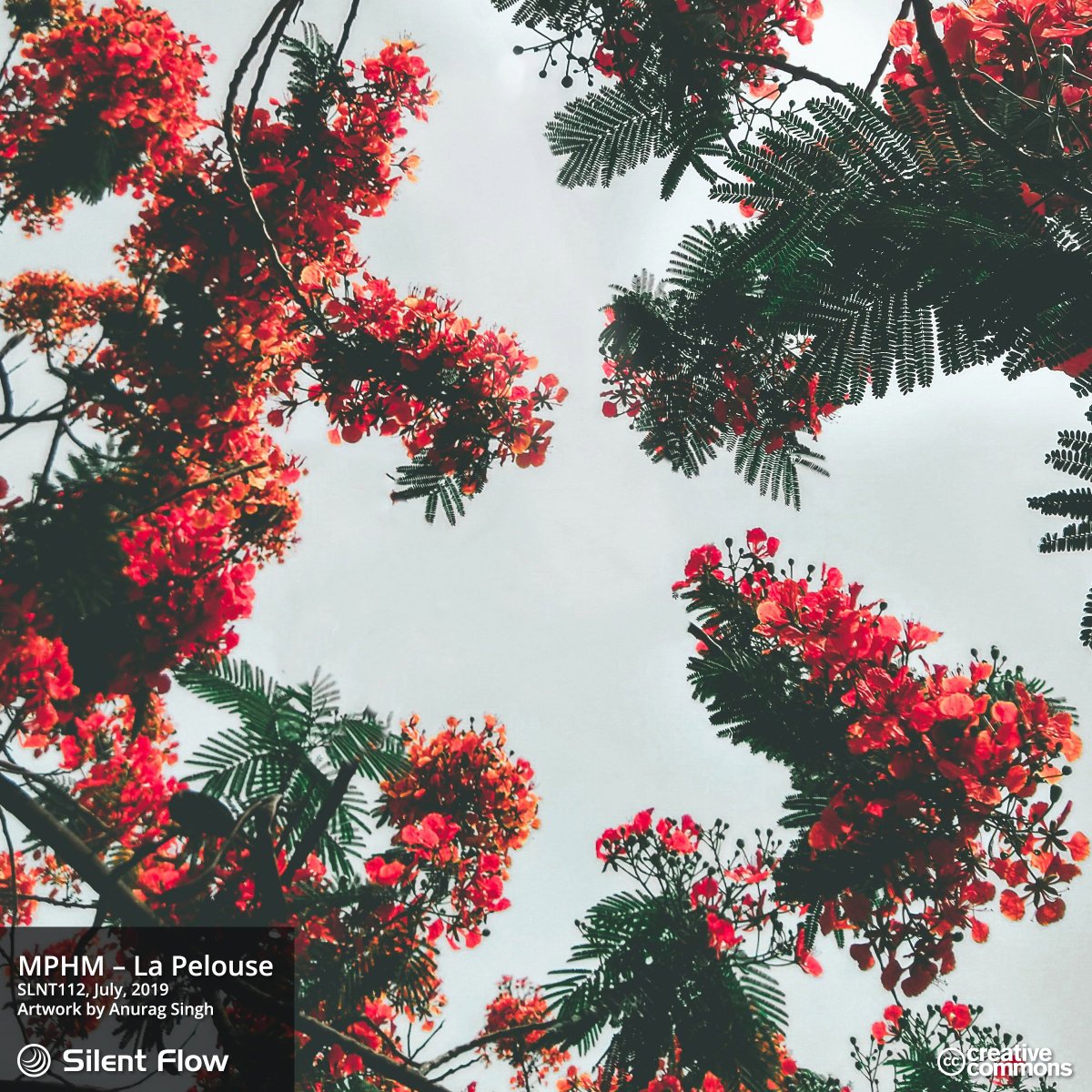 Silent Flow Label tweet media