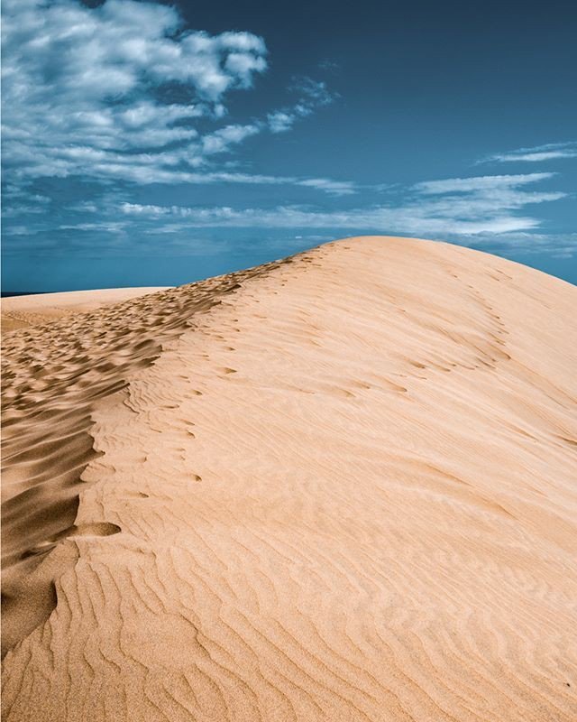 Ciò che rende bello il deserto è che da qualche parte vi è nascosto un pozzo.

• Antoine de Saint-Exupéry •

#ScomparsiOggi #31luglio
#PensieroIndelebile 
#GatLoup 🐾💞🐺