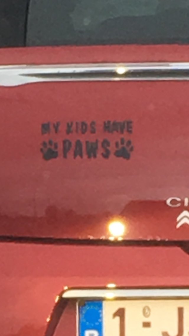 amsterdamsblauw's tweet image. 🤨🧐 #observeren