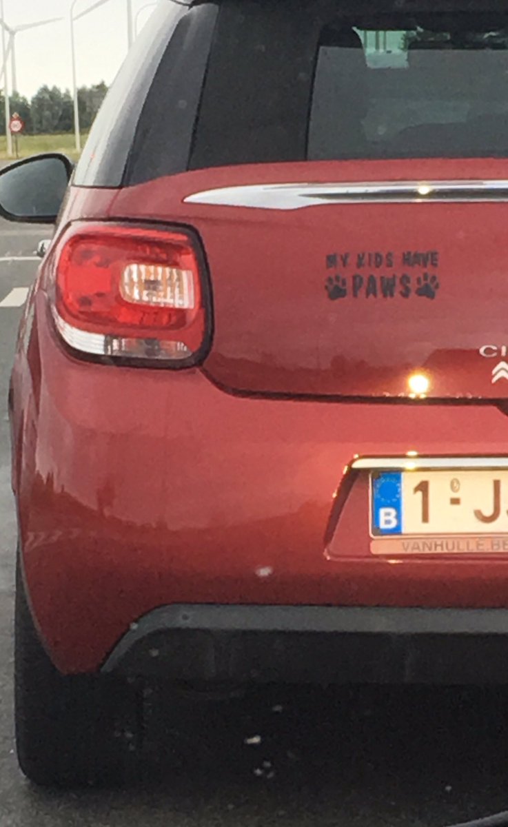 amsterdamsblauw's tweet image. 🤨🧐 #observeren