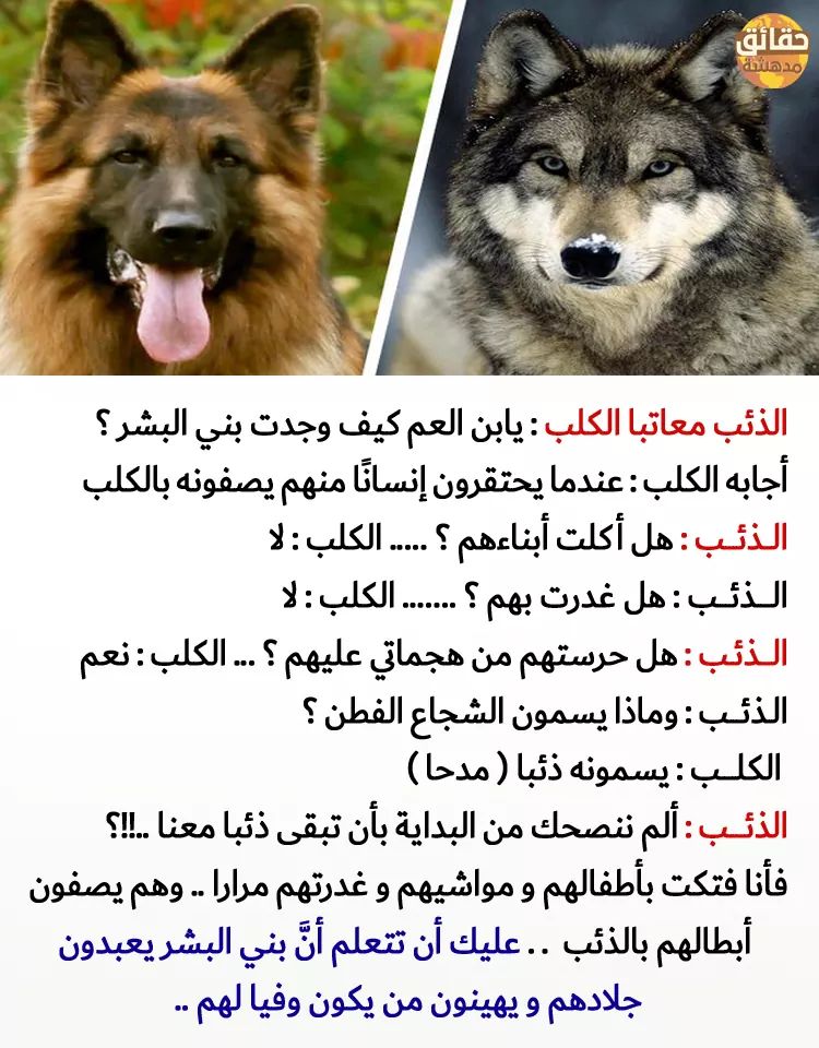 mohammad_emad0's tweet photo. اللهم اعز الاسلام و المسلمون https://t.co/Z3flzNaRhp