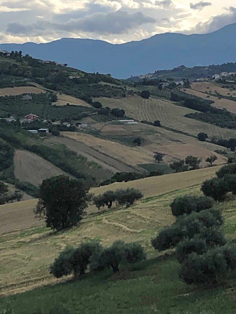 Lori De Angelis tweet media