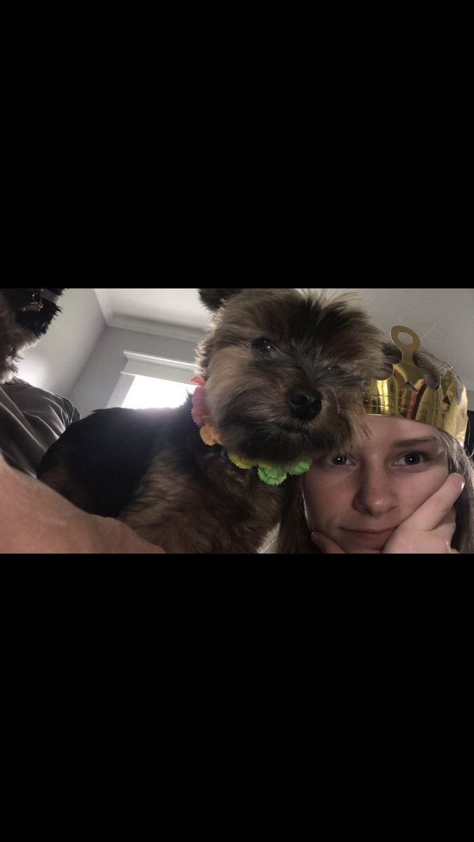 Brooke_Bull4's tweet photo. @_hannahlandis My boys 🥺🥰 https://t.co/YdQom0rKT2