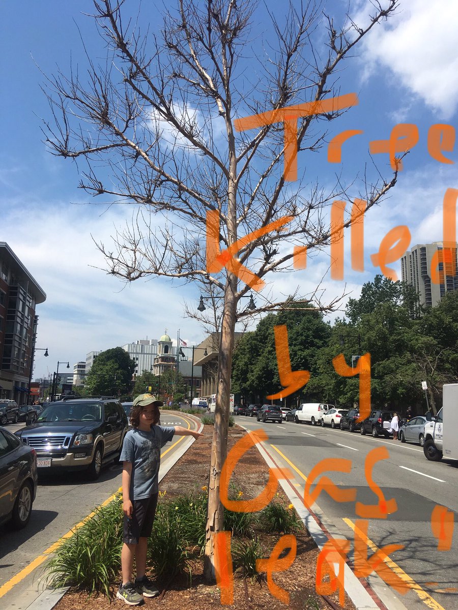 JessGSuperMom's tweet photo. Why is this child standing in the street on a hot day with a dead tree? He’s asking @nationalgridus to stop procrastinating protecting his health and future! #NGridMeasureUP and #FixBigGasLeaks as you promised, for your kids too! @MothersOutFront https://t.co/WVtLm8XDR9