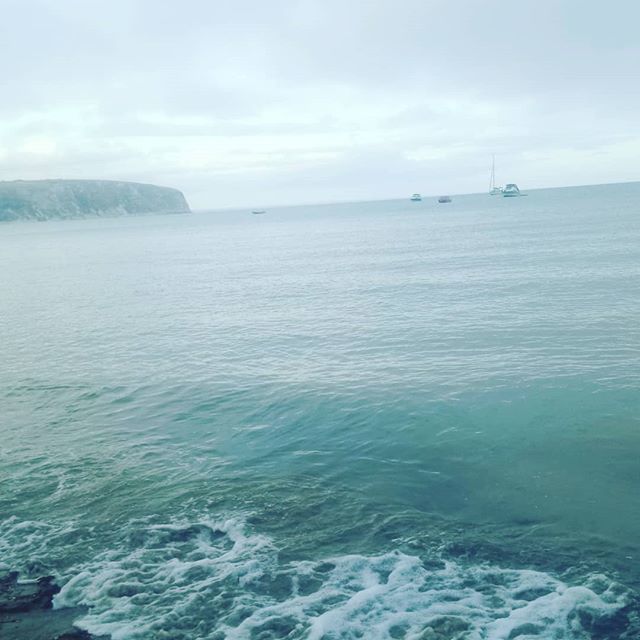 TheCraftyBrew's tweet photo. Loving a bit of Swanage bay and waiting for the fireworks later #beachlife #swanage #lovinglife #beach #🎆 #fireworkdisplay #craftybrew https://t.co/MBr0mhA8Rt